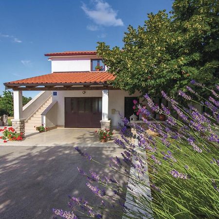 Amazing Apartment In Pazin With Wifi Katun Lindarski Exteriér fotografie